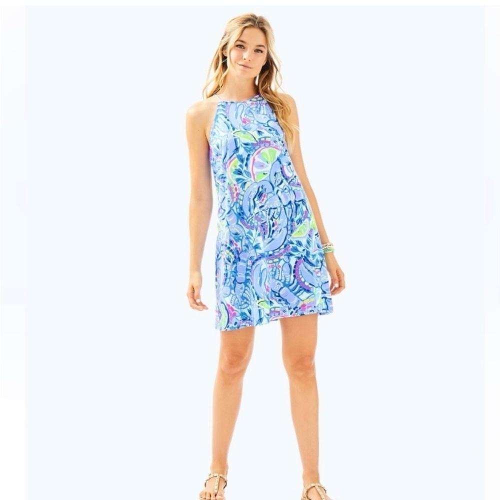 Lily Pulitzer Margot Swing Dress
